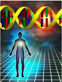 体表诊断市场看好分子诊断与试剂