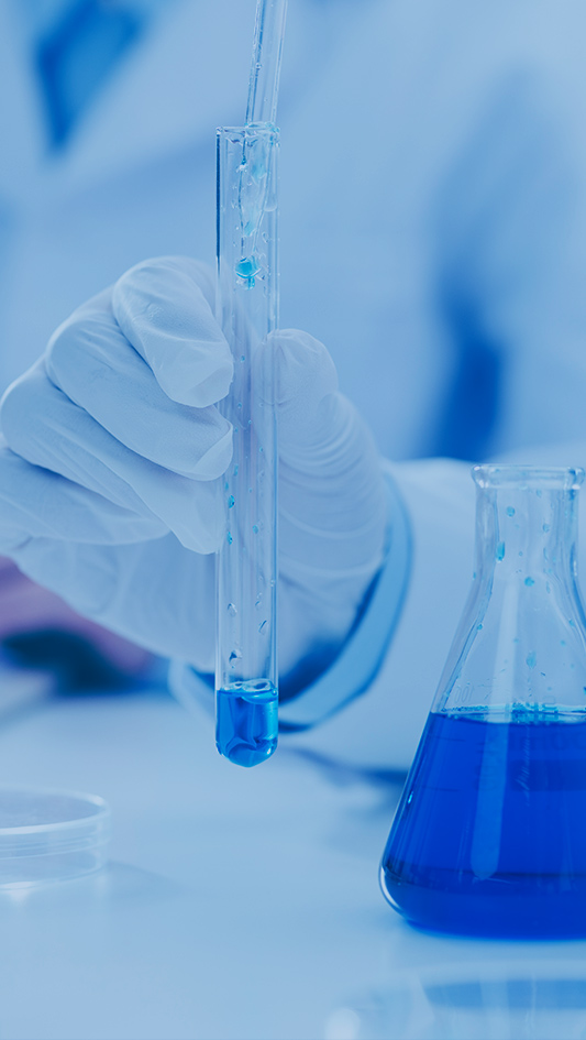 巅峰国际官网-钻营健全,你我一路成长