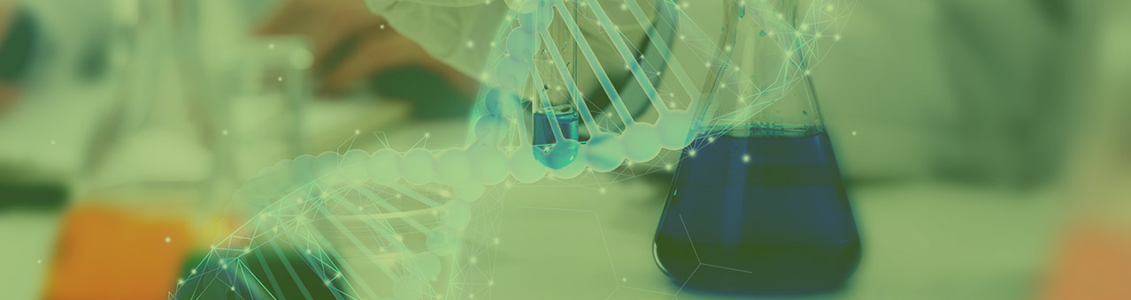 巅峰国际官网-钻营健全,你我一路成长